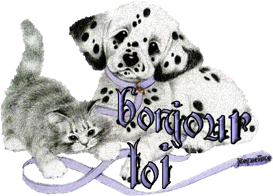 bonjour toi 